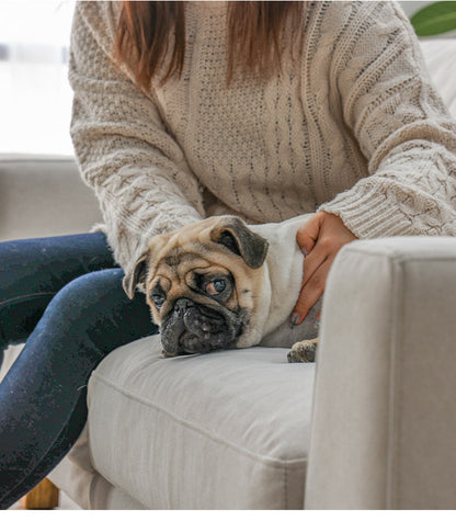 ソファ 3人掛け 幅194cm ペット対応 ソファ カバーリング ホワイト グレー おしゃれ 木 小型犬 中型犬 シート低め ファブリック 犬 猫 毛が取れやすい(代引不可)
