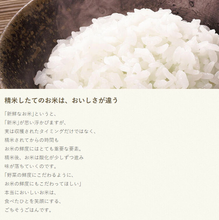 タイガー魔法瓶 家庭用 精米機 5合 RSF-A100 R レッド タイガー 自宅用 コンパクト 小型 無洗米機能つき お米