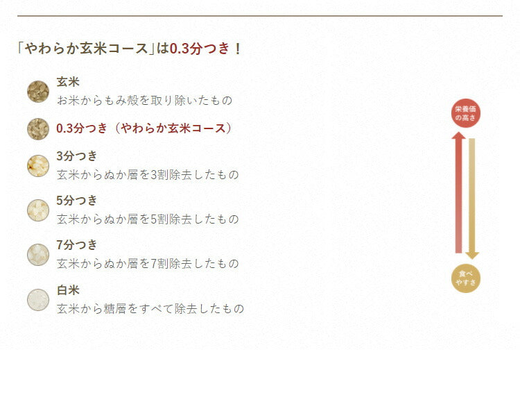 タイガー魔法瓶 家庭用 精米機 5合 RSF-A100 R レッド タイガー 自宅用 コンパクト 小型 無洗米機能つき お米