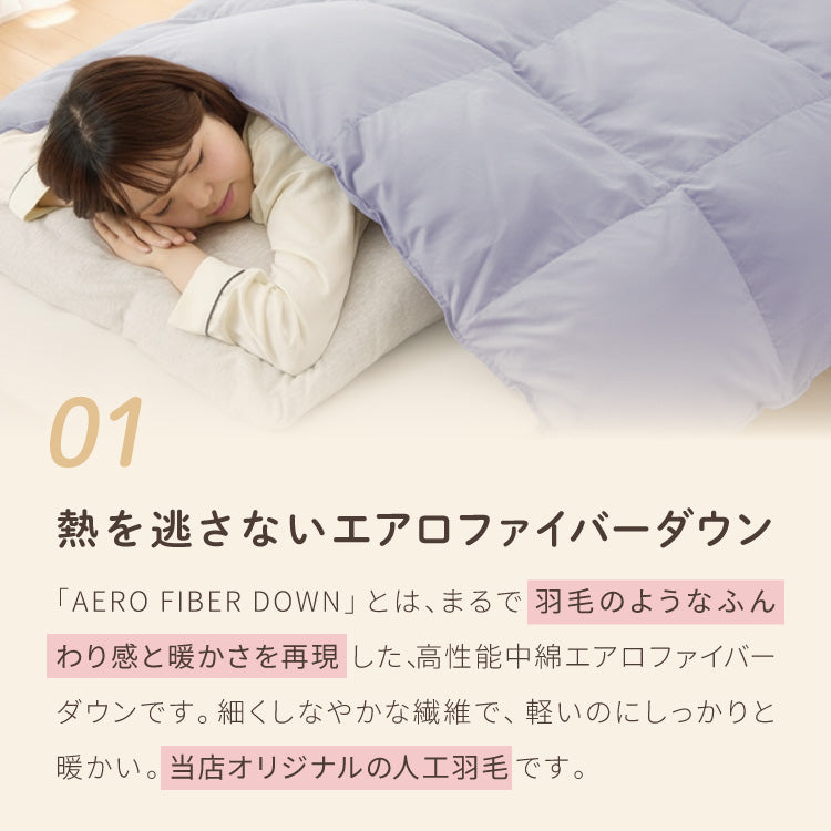 掛け布団 ダブル 単品 抗菌 防臭 エアロファイバーダウン フィルケア テイジン TEIJIN 帝人 ほこりが出にくい 洗える 丸洗い 高機能 掛け布団 掛布団 かけぶとん 布団 ふとん【送料無料】