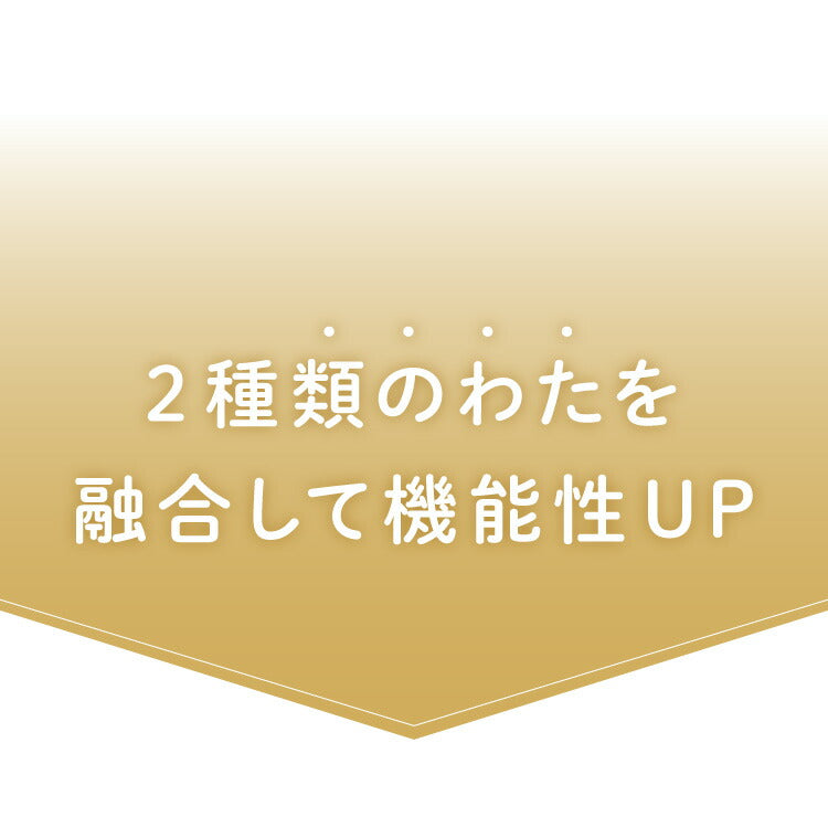 掛け布団 シングル セミダブル ダブル 単品 抗菌 防臭 エアロファイバーダウン フィルケア テイジン TEIJIN 帝人 ほこりが出にくい 洗える 丸洗い 高機能 掛け布団 掛布団 かけぶとん 布団 ふとん