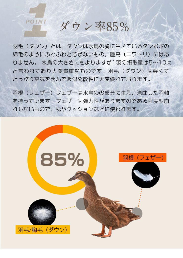 羽毛布団 シングル 増量1kg ダウン85% 350dp以上 3D立体キルト 抗菌 防臭 シルバーダック おしゃれ 冬 暖かい あったか 新生活 掛け布団 収納袋 羽毛掛け布団 掛布団 羽毛ふとん 羽毛 布団 羽毛掛け布団