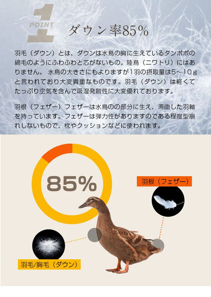 羽毛布団 シングル 増量1kg ダウン85% 350dp以上 3D立体キルト 抗菌 防臭 シルバーダック おしゃれ 冬 暖かい あったか 新生活 掛け布団 収納袋 羽毛掛け布団 掛布団 羽毛ふとん 羽毛 布団 羽毛掛け布団