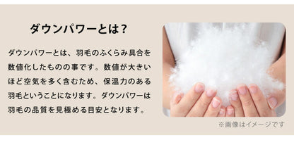 羽毛布団4点セット シングル ホワイトダックダウン90% 1.1kg 360dp テイジン製マイティトップ使用 抗菌防臭 防ダニ 消臭 低ホルム 立体キルト 3層敷布団 ウレタン 収納袋付 掛布団 掛け布団 枕 帝人 アイボリー 来客用