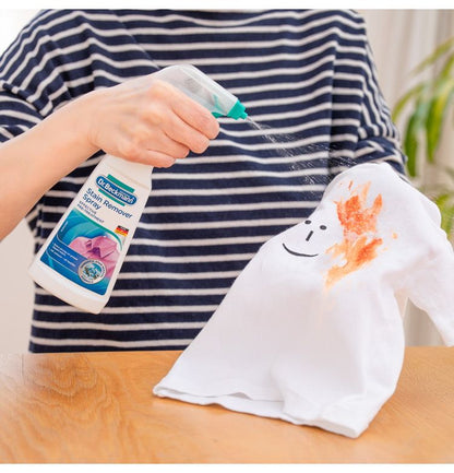 E.OCT プレウォッシュステインリムーバー スプレー DP010009 約 250ml ドイツ製 1本(代引不可)