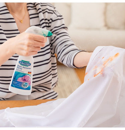 E.OCT プレウォッシュステインリムーバー スプレー DP010009 約 250ml ドイツ製 1本(代引不可)