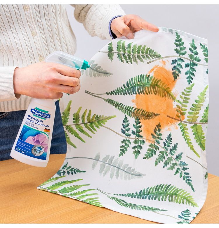 E.OCT プレウォッシュステインリムーバー スプレー DP010009 約 250ml ドイツ製 1本(代引不可)