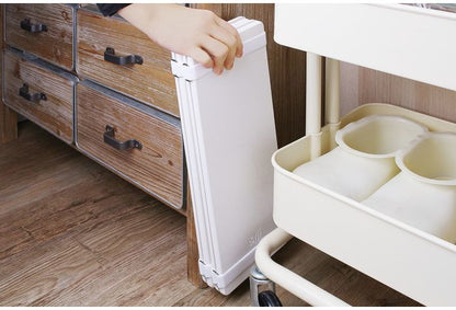 珪藻土 折りたたみマット plane NEO-170-PL 折りたたみ バスマット プレーン けいそうど お風呂 バス 洗面所 吸水 速乾 大判 防カビ 清潔 防ダニ TV テレビ おしゃれ かわいい インテリア 柄 収納(代引不可)