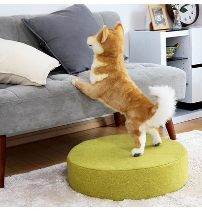 クラスアップ フロアチェア CN-H512 GN グリーン 中国製(代引不可)