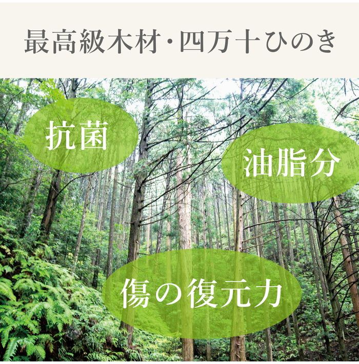 まな板 18×30cm STYLE JAPAN ひのきのまな板 スタンド式 Mサイズ スタイルジャパン まな板 ひのき ヒノキ 檜 キッチン 調理 スタンド おしゃれ 木製 シンプル 薄型 軽量 収納 フック穴(代引不可)