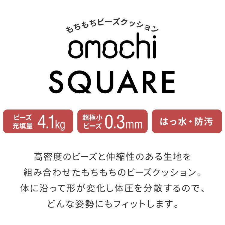 ビーズクッション キャンバス生地 65×65×43cm Lサイズ omochi SQUARE 椅子 イス 背もたれ 1人 極小ビーズ カバーリング へたりにくい 低VOC 洗える ソファ フロアソファ