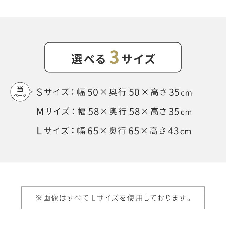 ビーズクッション本体 50×50×35cm ヌードタイプ Sサイズ 極小ビーズ へたりにくい 低VOC 大きい 北欧 マイクロビーズクッション 中身 ソファ フロアソファ