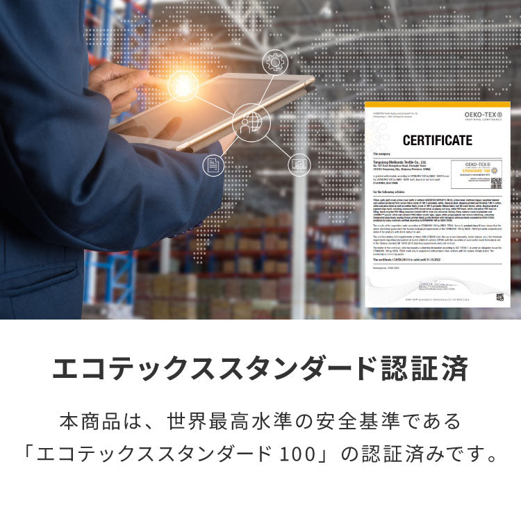 ビーズクッション本体 65×65×43cm ヌードタイプ Lサイズ 極小ビーズ へたりにくい 低VOC 大きい 北欧 マイクロビーズクッション 中身 ソファ フロアソファ