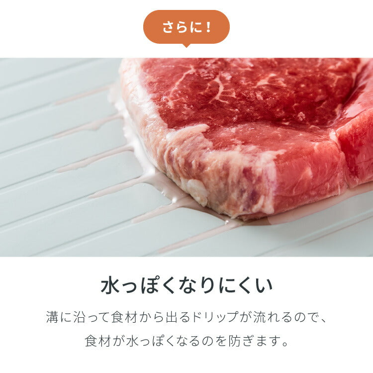 解凍プレート 急速解凍 解凍皿 時短 粗熱取り 急速冷凍 アルミ 解凍 皿 プレート まな板 肉解凍 自然解凍 解凍板 国内試験済み おしゃれ(代引不可)【メール便配送】