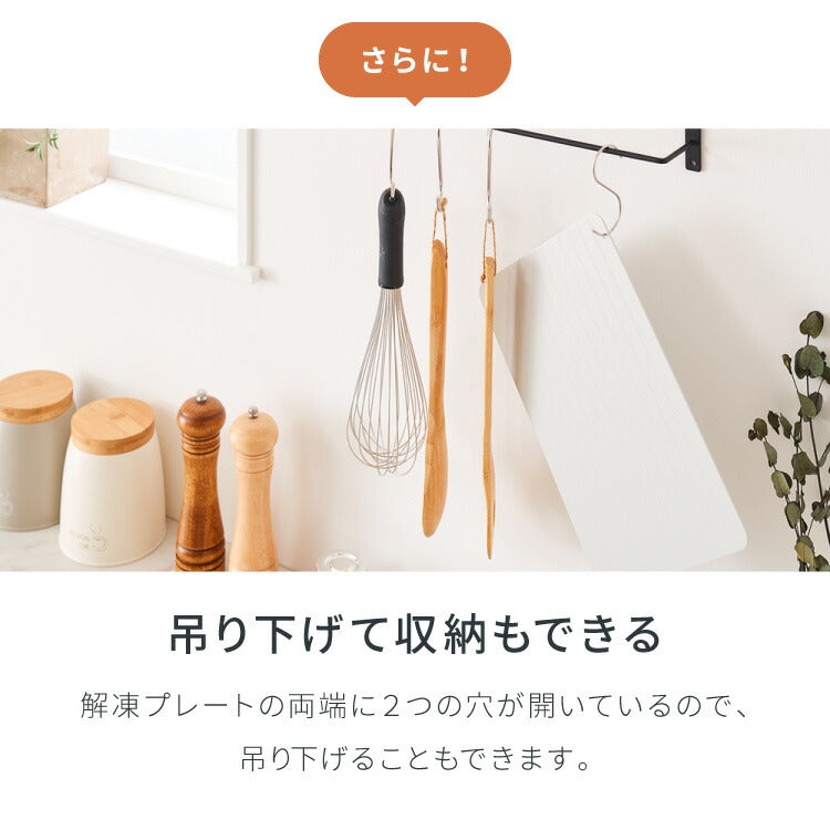 解凍プレート 急速解凍 解凍皿 時短 粗熱取り 急速冷凍 アルミ 解凍 皿 プレート まな板 肉解凍 自然解凍 解凍板 国内試験済み おしゃれ(代引不可)【メール便配送】