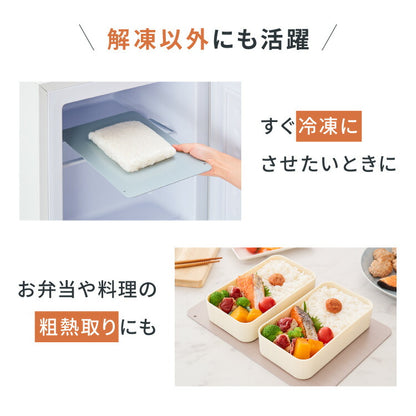 解凍プレート 急速解凍 解凍皿 時短 粗熱取り 急速冷凍 アルミ 解凍 皿 プレート まな板 肉解凍 自然解凍 解凍板 国内試験済み おしゃれ(代引不可)【メール便配送】