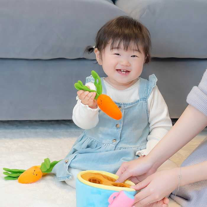 ミニファームシリーズ ぱりぱりにんじん畑 ベビー ファインモータートイ 知育玩具 お世話遊び 指先遊び 出産祝い ギフト 赤ちゃん 布製 野菜 かわいい プレゼント 子供 キッズ 子ども クリスマス(代引不可)