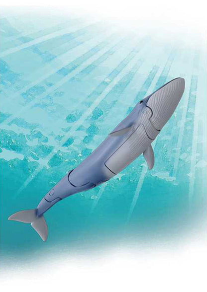 タカラトミー アニア AL-23 シロナガスクジラ(水に浮くVer.)(代引不可)