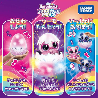 12月上旬 発売予定うまれて!ウーモ アライブ パンドゥー | タカラトミー ウーモ うまれてウーモ うまれてうーも うまれてウーモアライブ ウーモアライブ エッグ 卵 たまご(代引不可)