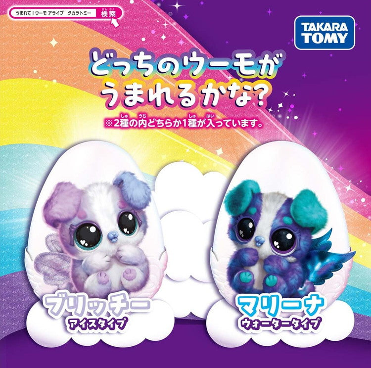 12月上旬 発売予定うまれて!ウーモ アライブ パッパディー | タカラトミー ウーモ うまれてウーモ うまれてうーも うまれてウーモアライブ ウーモアライブ エッグ 卵 たまご う(代引不可)