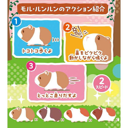 イワヤ すすめ!モル・ルンルン(代引不可)