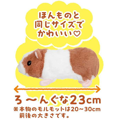 イワヤ すすめ!モル・ルンルン(代引不可)