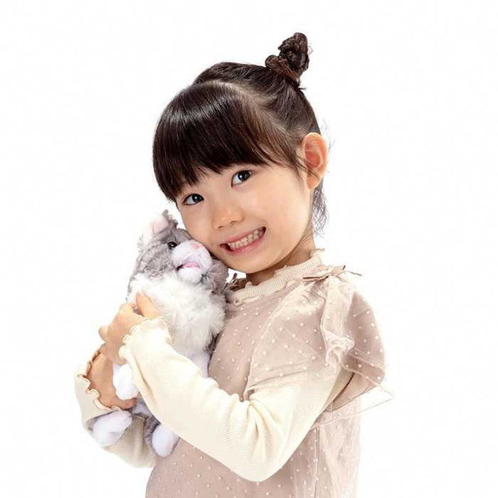 イワヤ だっこでミィミィ こねこのタビー(代引不可)