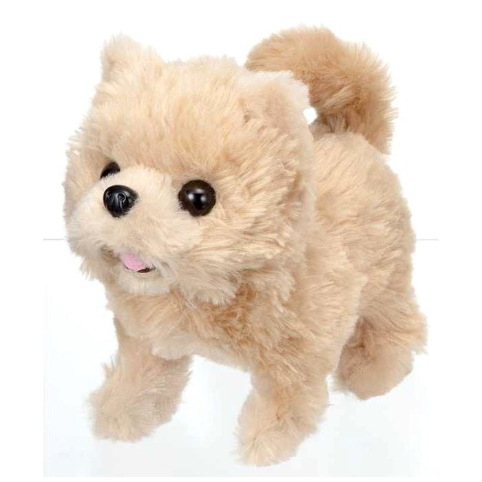 イワヤ ピッコリーネ ポメラニアン(代引不可)