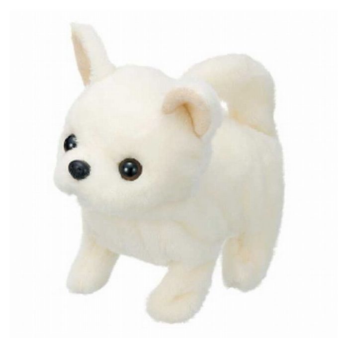 イワヤ ピッコリーネ チワワ(代引不可)