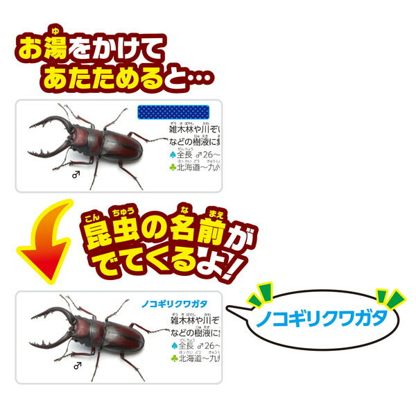 パイロットコーポレーション こたえがでてくる!おふろでスタディ!学研の図鑑LIVE昆虫 おもちゃ(代引不可)