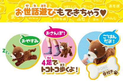 セガトイズ ココさかだちして Premium チワワ おもちゃ(代引不可)