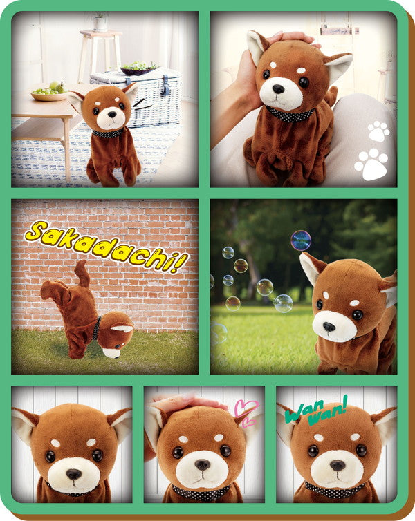 セガトイズ ココさかだちして Premium チワワ おもちゃ(代引不可)