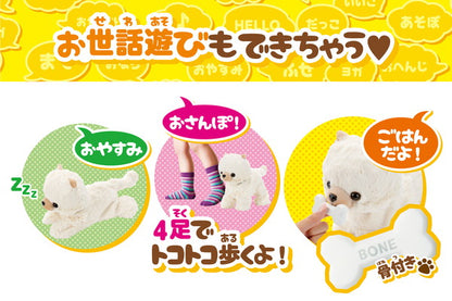 セガトイズ ココさかだちして Premium ポメラニアン おもちゃ(代引不可)