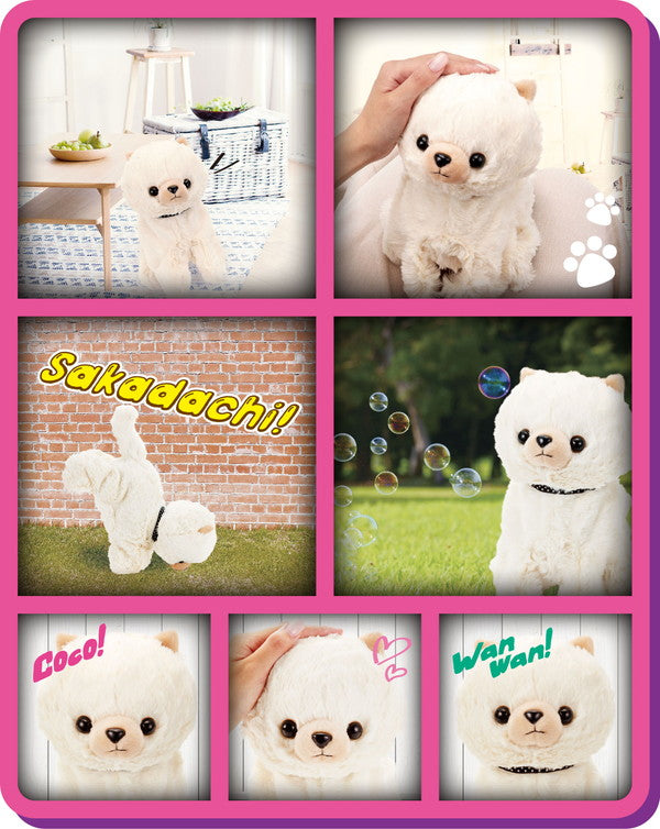 セガトイズ ココさかだちして Premium ポメラニアン おもちゃ(代引不可)