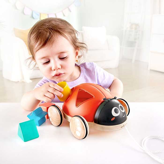 Hape E0364 おさんぽてんとうむし おもちゃ こども 子供 知育 勉強 1歳 ベビー カワダ はぺ ごっこ遊び お世話ごっこ ままごと テントウムシ てんとう虫 かわいい 型はめ お散歩(代引不可)