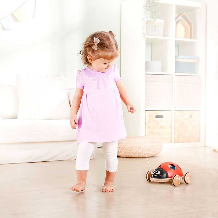 Hape E0364 おさんぽてんとうむし おもちゃ こども 子供 知育 勉強 1歳 ベビー カワダ はぺ ごっこ遊び お世話ごっこ ままごと テントウムシ てんとう虫 かわいい 型はめ お散歩(代引不可)