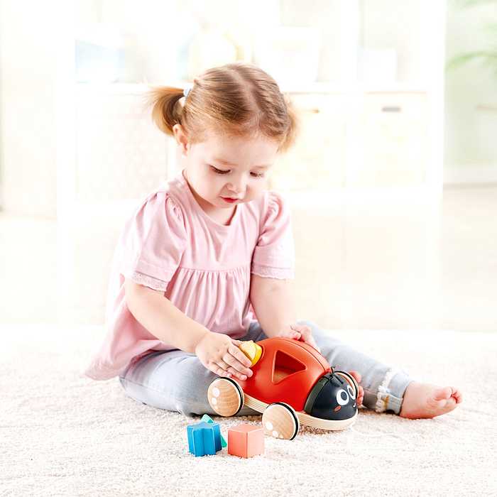 Hape E0364 おさんぽてんとうむし おもちゃ こども 子供 知育 勉強 1歳 ベビー カワダ はぺ ごっこ遊び お世話ごっこ ままごと テントウムシ てんとう虫 かわいい 型はめ お散歩(代引不可)