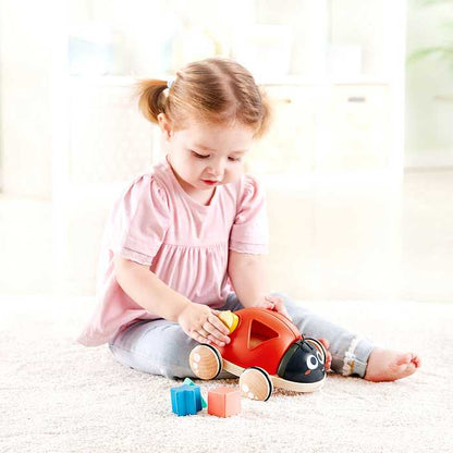 Hape E0364 おさんぽてんとうむし おもちゃ こども 子供 知育 勉強 1歳 ベビー カワダ はぺ ごっこ遊び お世話ごっこ ままごと テントウムシ てんとう虫 かわいい 型はめ お散歩(代引不可)