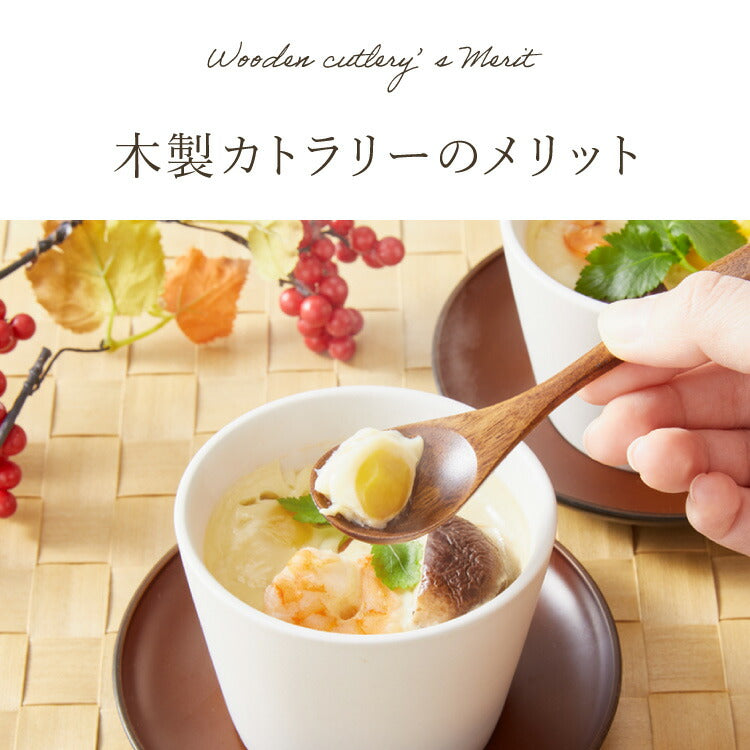 【食洗機対応】ティースプーン 5本セット 12.5cm 木製 漆塗り 白木 天然木 コーヒースプーン デザートスプーン おしゃれ カフェ風 ナチュラル ブラウン カトラリー 漆器 軽い 軽量 洗える 北欧(代引不可)【メール便配送】