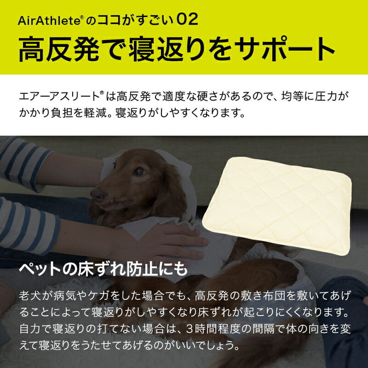 洗えるペット用敷布団 エアーアスリート 立体構造素材使用 LL 125×95cm ペットマットレス 通気性 高反発 洗える 丸洗い 速乾性 水洗い ペットマット ペット 敷布団 硬め 硬い 高反発マット(代引不可)