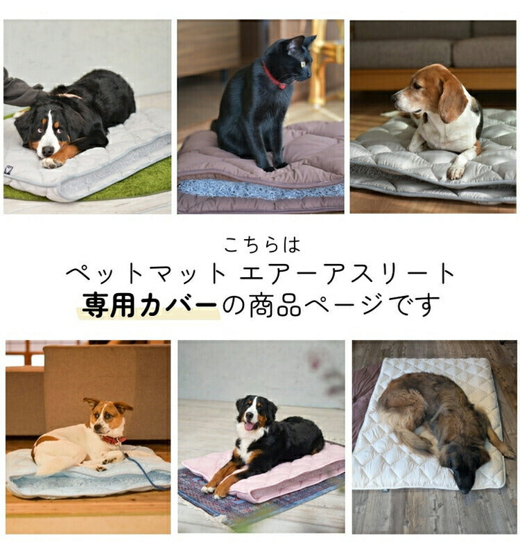 洗えるペット用敷布団 専用カバー エアーアスリート 立体構造素材使用 SS 60×42cm ペットマットレス 通気性 高反発 洗える 丸洗い 速乾性 水洗い ペットマット ペット 敷布団 硬め 硬い(代引不可)