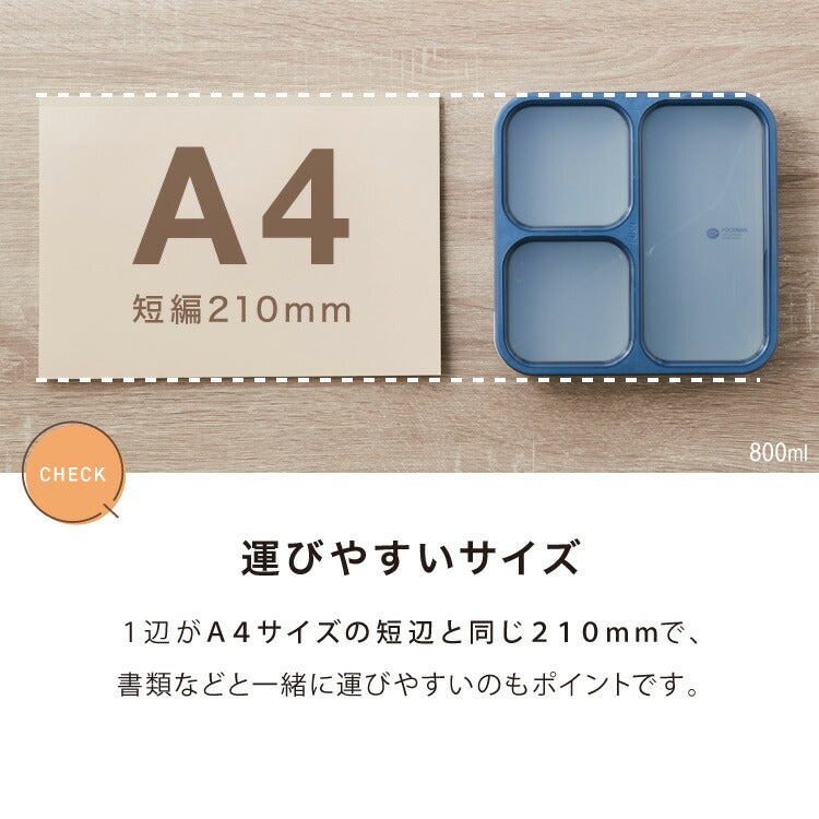 【5%OFF】密閉 抗菌 弁当箱 800ml フードマン FOODMAN 薄型 1段 食洗機対応 レンジ対応 ランチボックス 一段 薄型弁当箱 食洗機OK レンジOK 一段弁当箱 抗菌加工 AG 薄い スリム 縦 弁当 お弁当 女性
