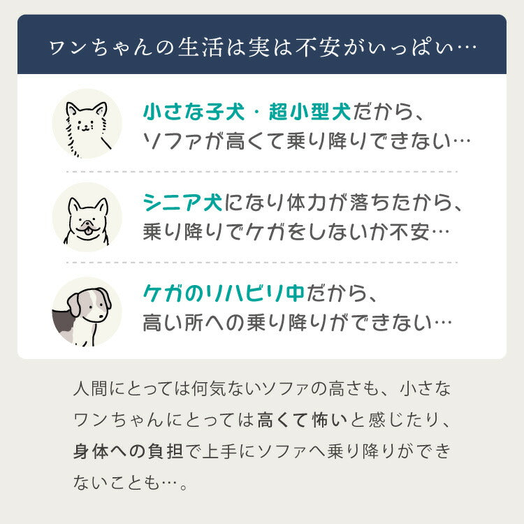ドッグステップ 2段 階段 滑り止め 幅55cm ペットステップ 踏み台 ステップ 室内犬 ペット用品 ペットスロープ 小型犬 高齢犬 介護用品 ソファ シニア犬 補助 犬用品 ウレタン シンプル トイプードル