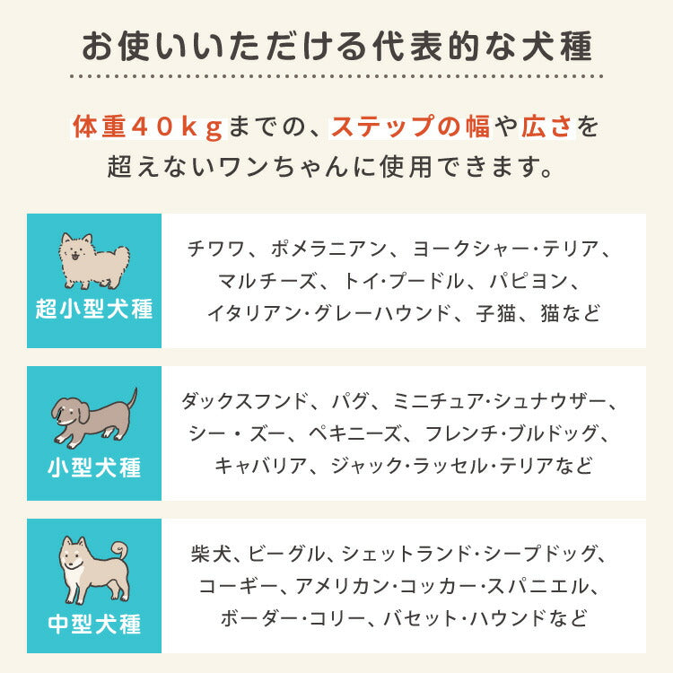 ドッグステップ 2段 階段 滑り止め 幅55cm ペットステップ 踏み台 ステップ 室内犬 ペット用品 ペットスロープ 小型犬 高齢犬 介護用品 ソファ シニア犬 補助 犬用品 ウレタン シンプル トイプードル