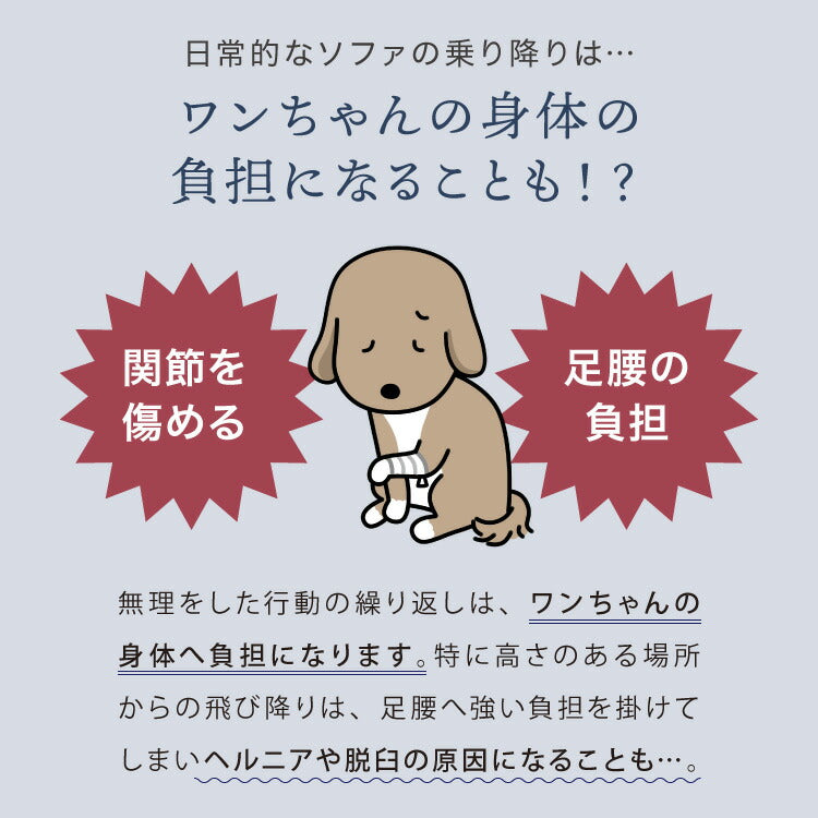 ドッグステップ 2段 階段 PUレザー 撥水 滑り止め 幅40cm ペットステップ 踏み台 ステップ 室内犬 ペット用品 ペットスロープ 小型犬 高齢犬 介護用品 ソファ シニア犬 補助 犬用品 トイプードル