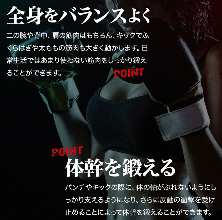 空気式 サンドバッグ ファイティングバッグAIR 【FIGHTING ROAD】自立 自立式 自宅 空気 格闘 運動不足 ダイエット キックボクシング ボクシングサンドバッグ【ファイティングロード】(代引不可)