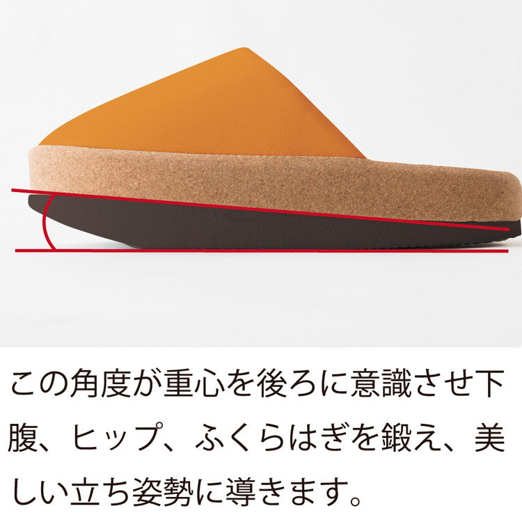 体幹を整えるスリッパ Sliet スリエット 健康スリッパ 美脚 姿勢 宅トレ エクササイズ アルファックス