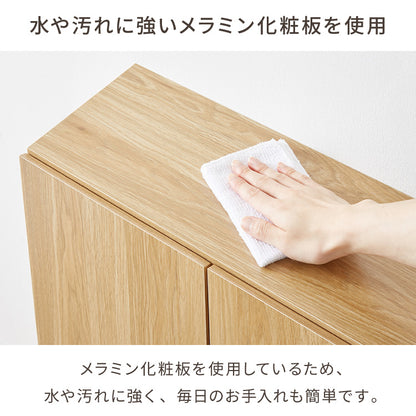 カウンター下収納 連結可能 開き戸タイプ 幅60 UC-SW60 奥行き22cm カウンター 下 開き戸 薄型 カウンター下 カウンター収納 薄型収納 ロボット掃除機 収納 キッチン 食器棚 ラック