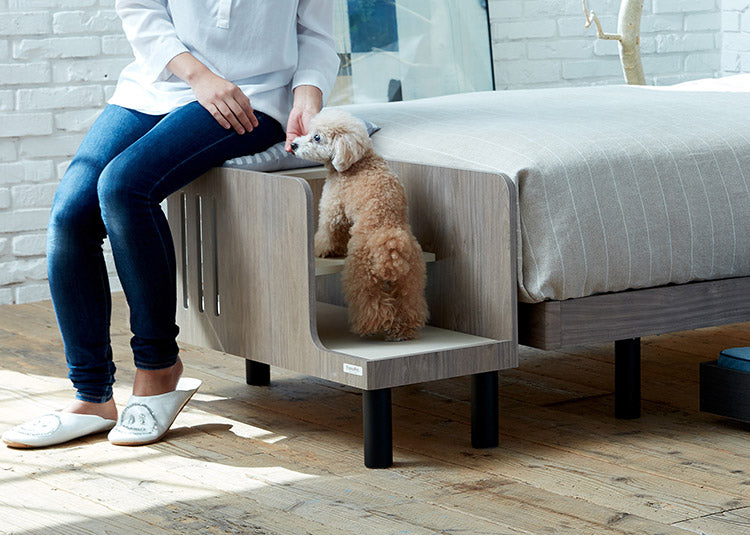 【500円OFF】フランスペット ペットステップベンチ PE01 ドッグステップ ペット 犬 小型犬 高齢犬 シニア犬 老犬 介護 ペット用 段差 階段 ベッドサイド ペット家具 フランスベッド(代引不可)