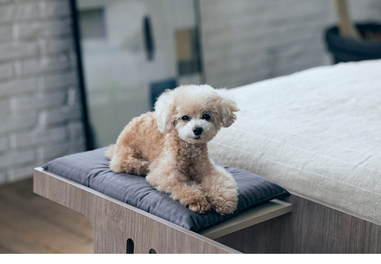 【500円OFF】フランスペット ペットステップベンチ PE01 ドッグステップ ペット 犬 小型犬 高齢犬 シニア犬 老犬 介護 ペット用 段差 階段 ベッドサイド ペット家具 フランスベッド(代引不可)